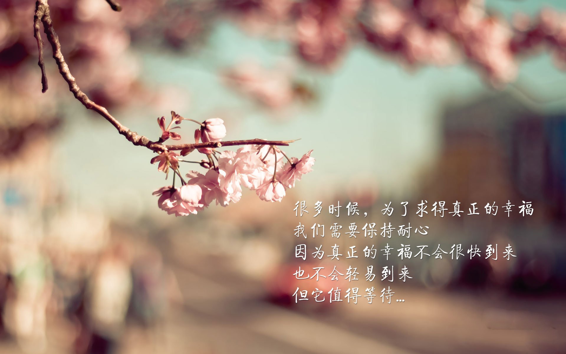 CS2 职业联赛新星层出不穷，csgo s2