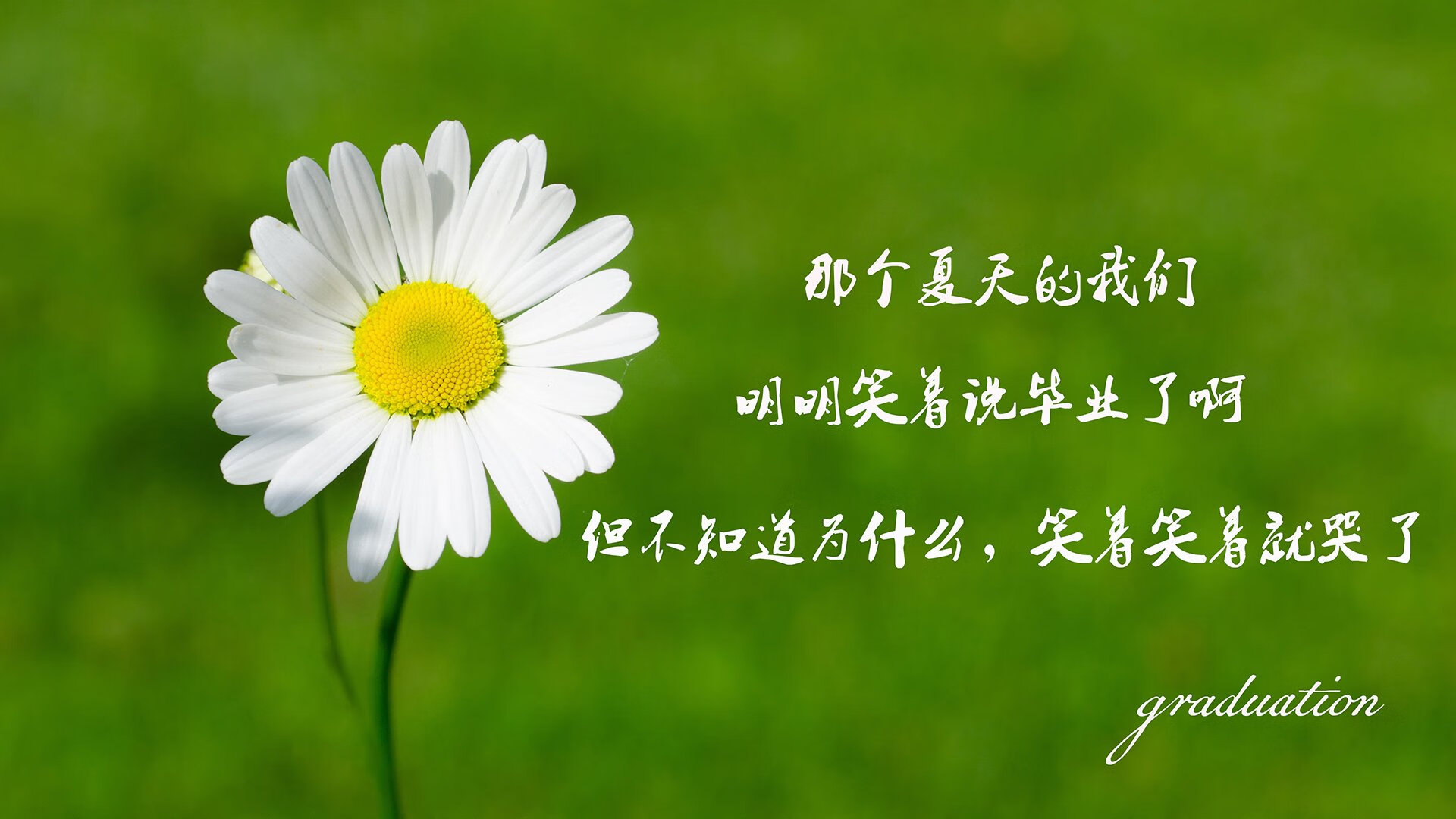 传统武术套路大赛，展现国家文化魅力，传统武术套路竞赛规则2012