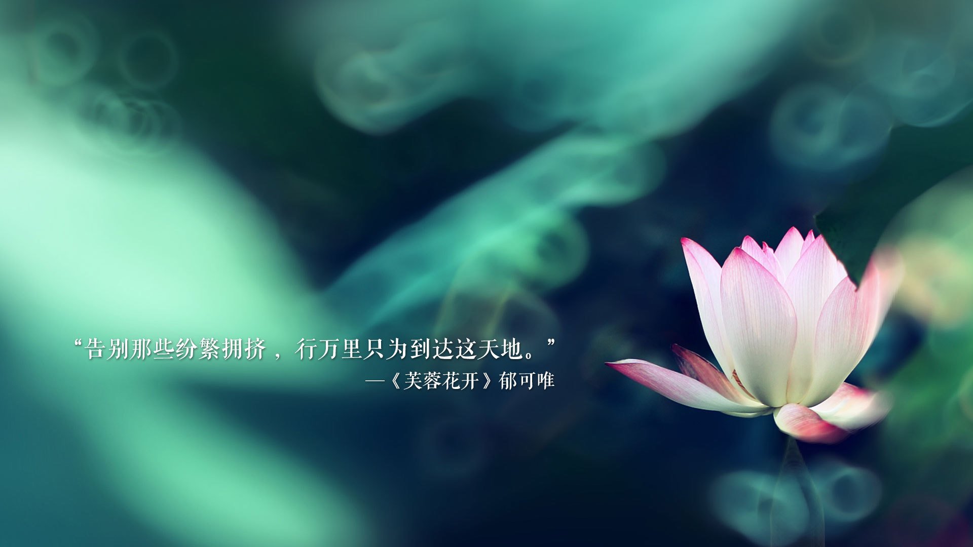 韦世豪加盟北京国安，期待新挑战，韦世豪加盟国安转会费