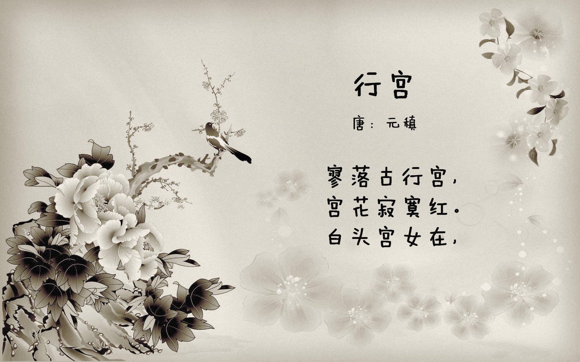 掘金险胜凯尔特人，全明星赛前哨战中约基奇创下生涯新高，约基奇续约掘金