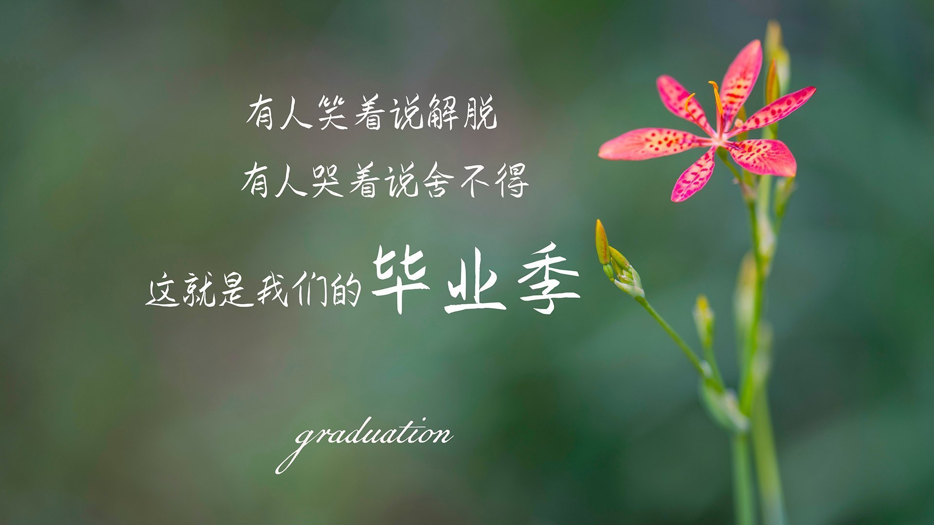 比利时女足队技高一筹，击溃对手，比利时足球队员