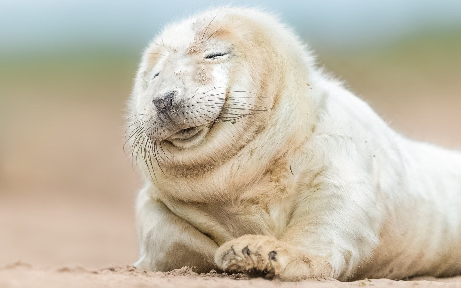 中小学体育教师创新教学策略，创新教学在小学体育教学中的重要性