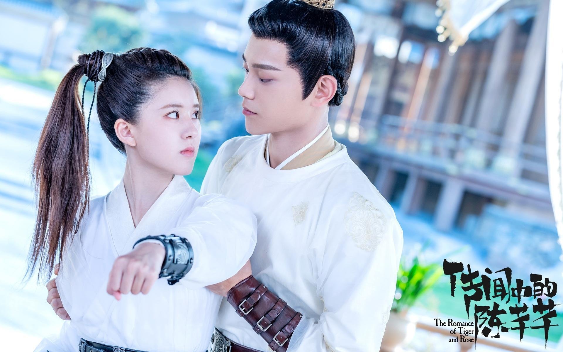 体育赛事观众满意度影响因素研究，体育赛事关注度