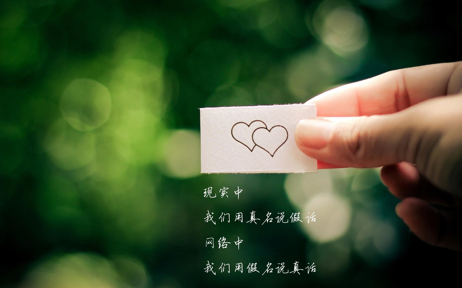 德甲主教练更替对球队战术稳定性影响，德足主教练