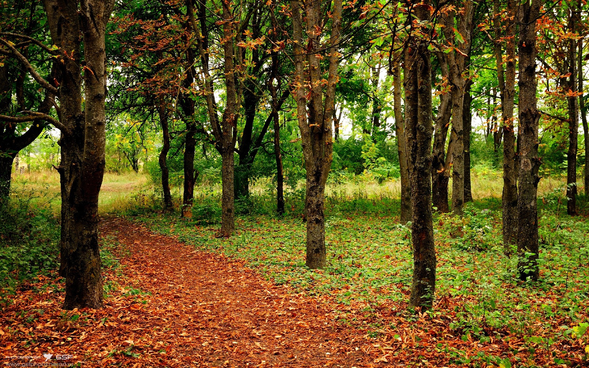 中国香港队的未来：如何借助团体赛事提升球队协作和心理素质，香港队员