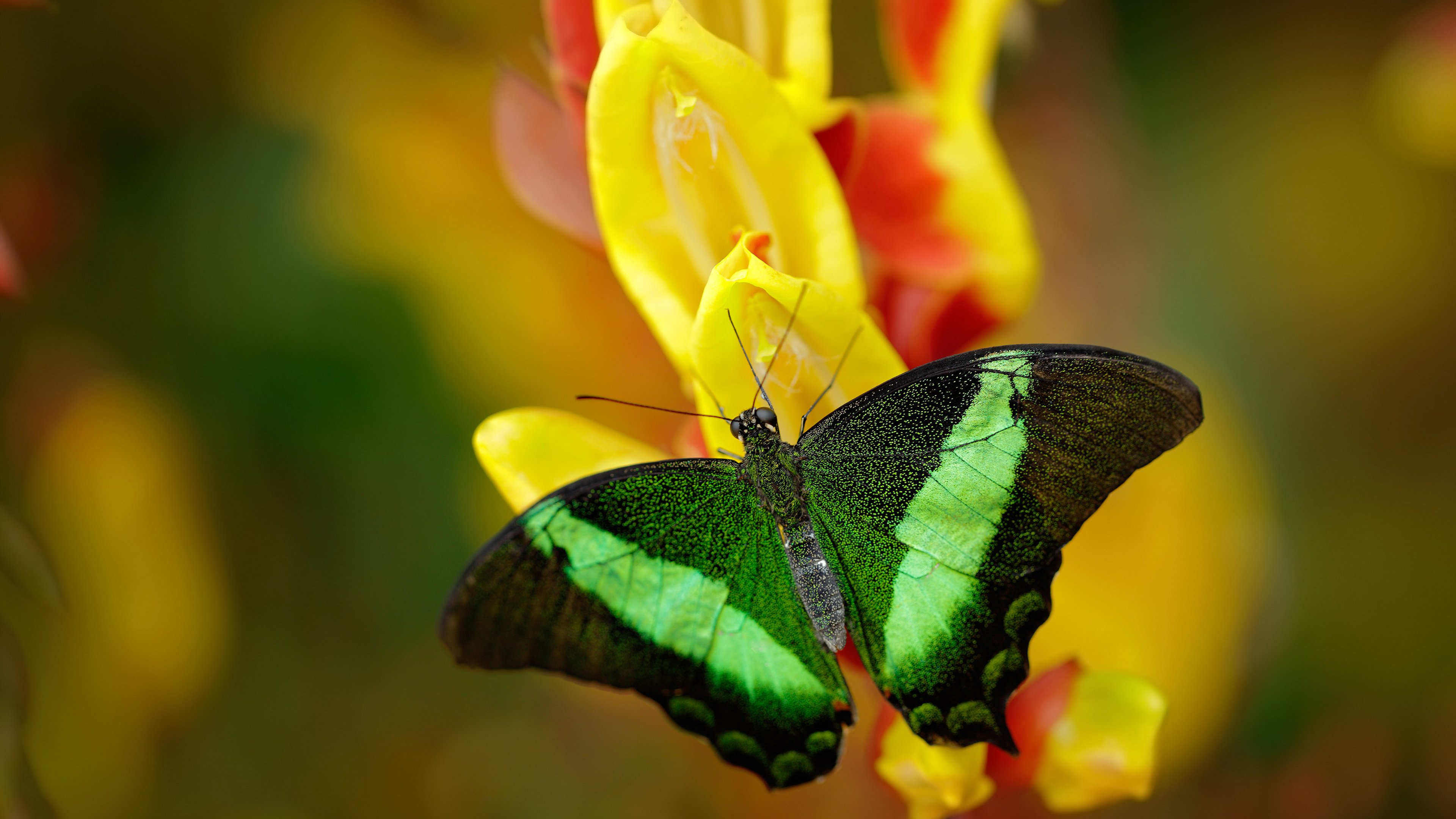 亚冠联赛U23国足晋级 球迷为球队加油助威，u23亚洲杯中国队名单