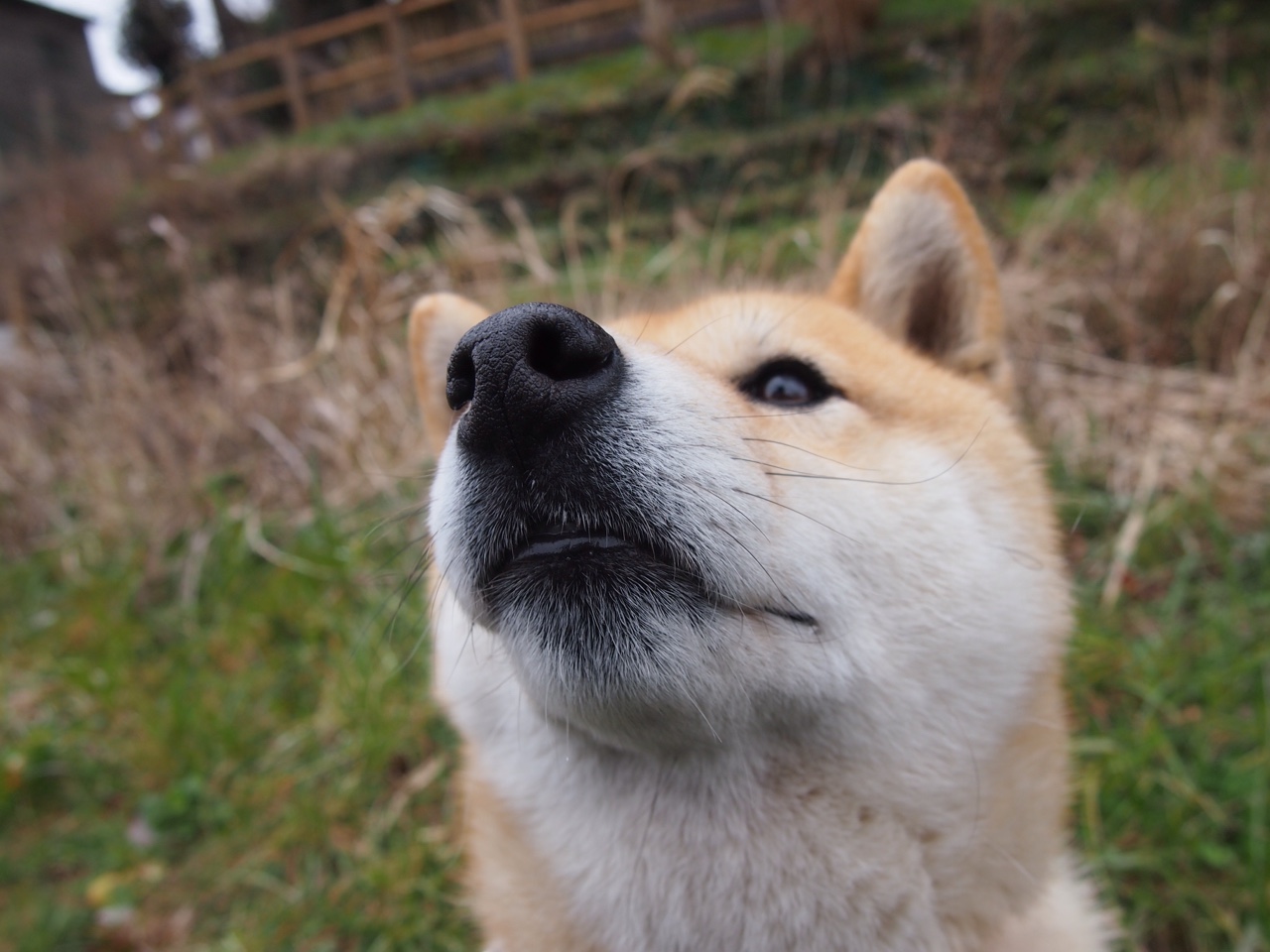 亚洲杯中国队战平 技术体系显出漏洞，亚洲杯中国小组赛战罢