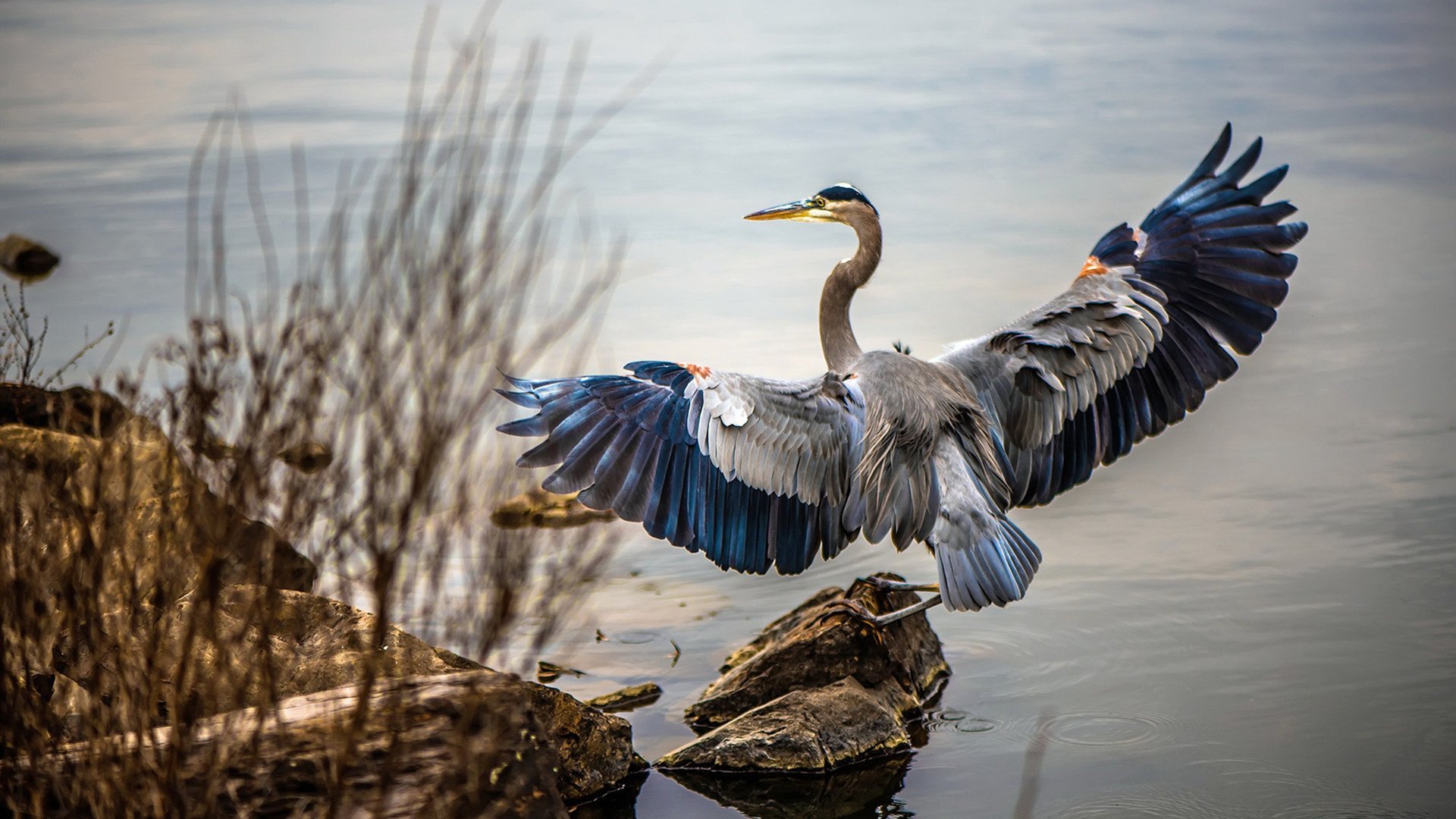 国家体育总局通报区域性体育扶贫计划覆盖范围，体育扶贫是指国家