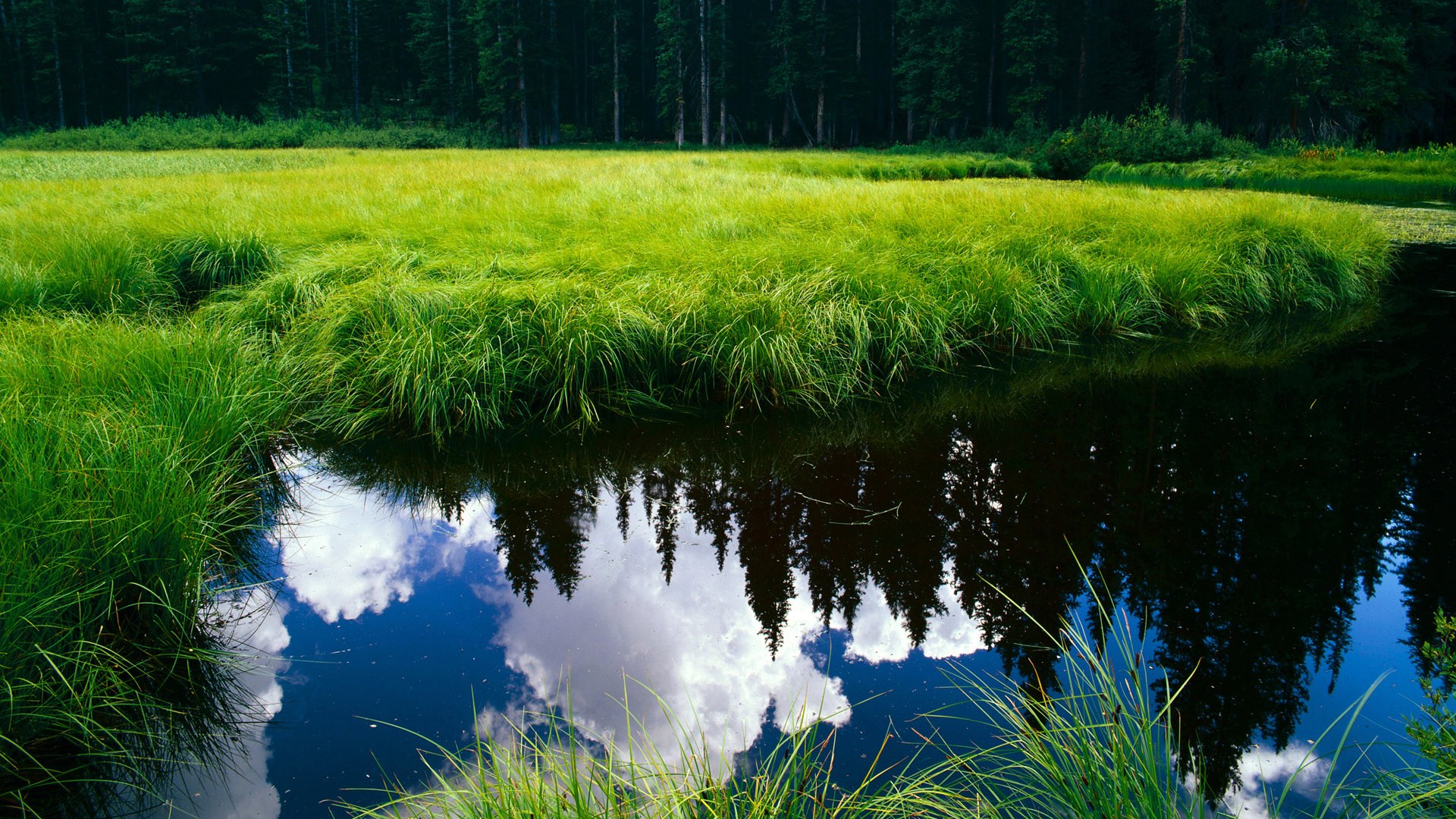 希腊男篮在世界大赛中表现稳健，争夺奖牌
