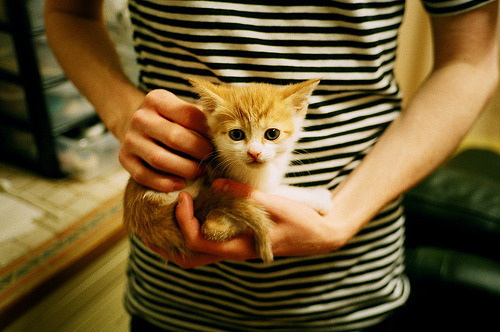 法国队冲刺阶段展现爆发力，法国队进攻