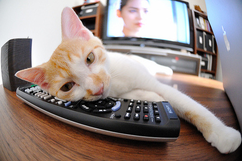 球迷骚乱事件影响比赛，足协启动调查，球迷骚乱有什么特点和危害