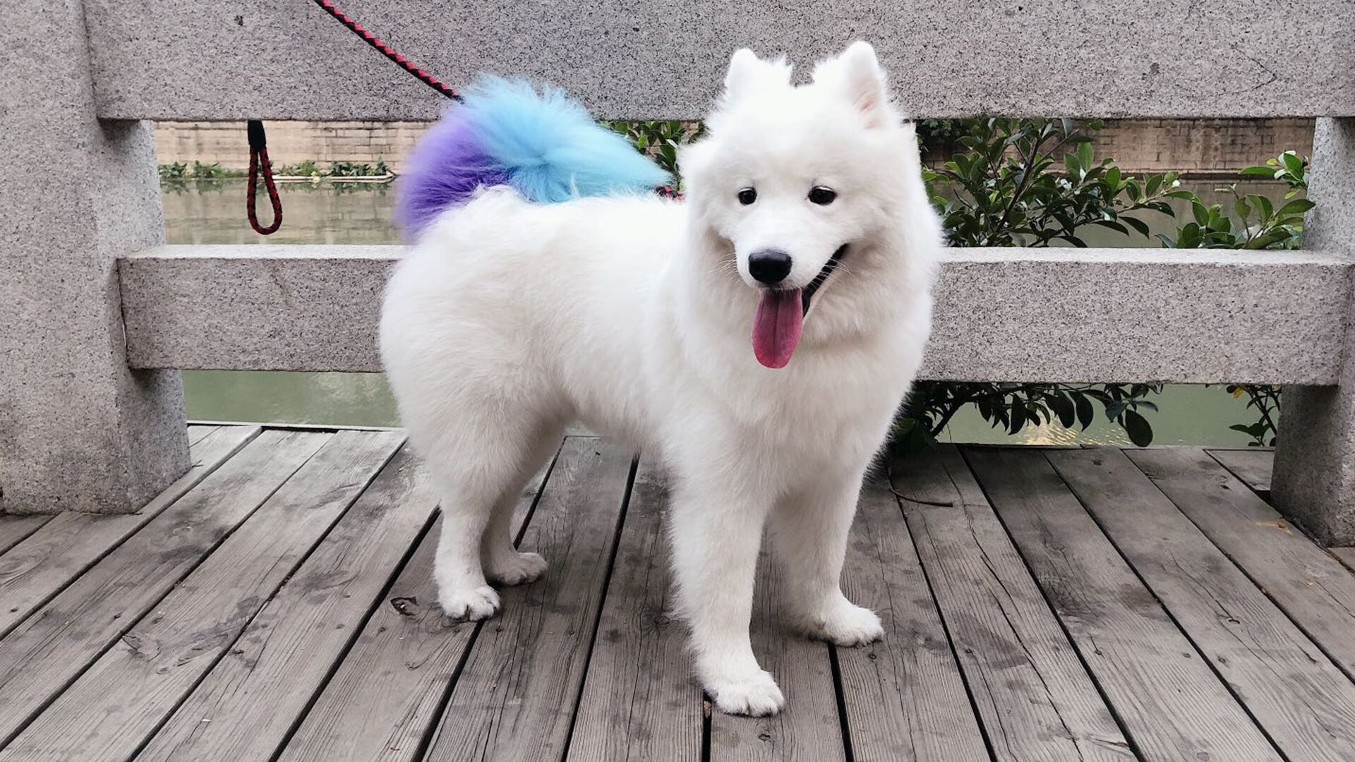 电子竞技产业链完善推动职业化发展，电子竞技产业链完善推动职业化发展的意义