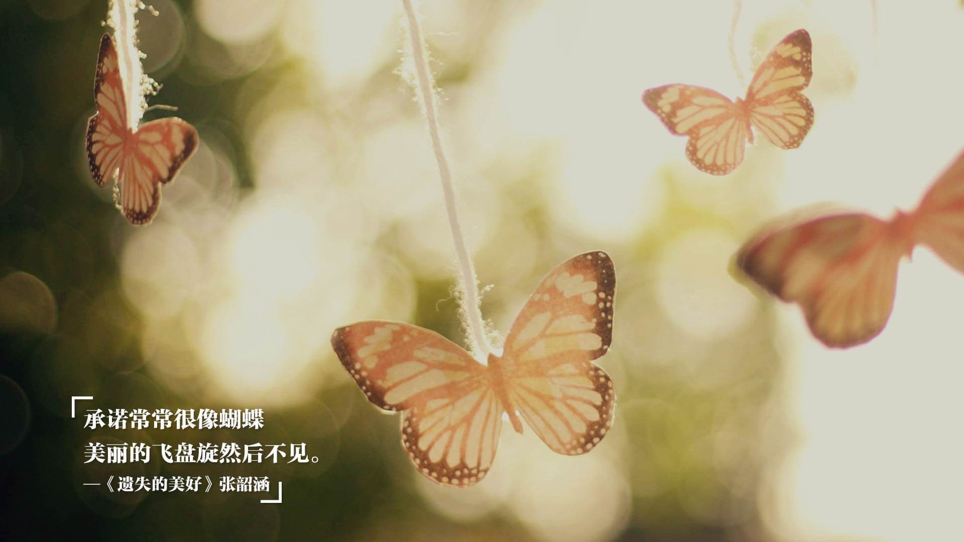 青训体系将引入体能等级分级制度推动训练科学化，青训政策