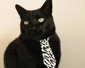 麦克沃伊：坚持就是速度的保障，麦克沃伊女友