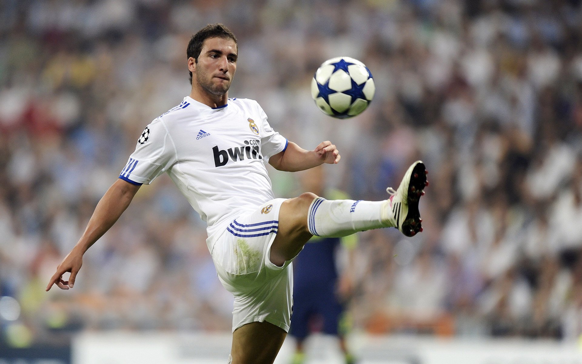 《新星崛起：年轻选手在电竞舞台闪耀》，新崛起的一颗新星